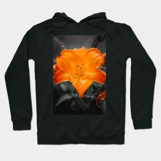 Orange Lily Flower Photograph Hoodie